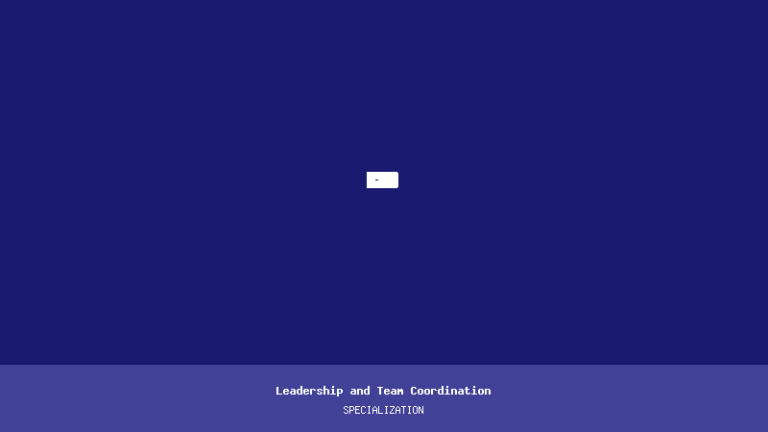 Leadership and Team Coordination
